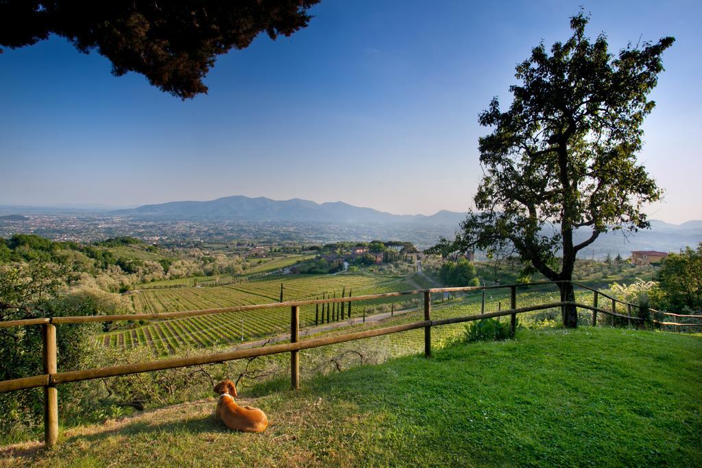 Villa Lean Valgiano Экстерьер фото